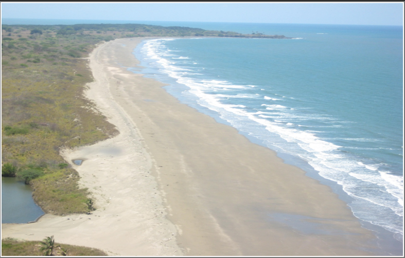 79.1-Hectare Beachfront Property for Sale in Pedasí, Panama