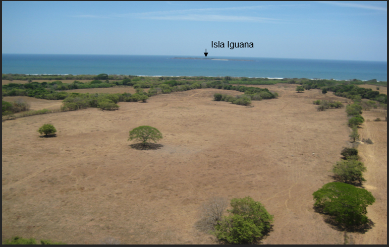 79.1-Hectare Beachfront Property for Sale in Pedasí, Panama