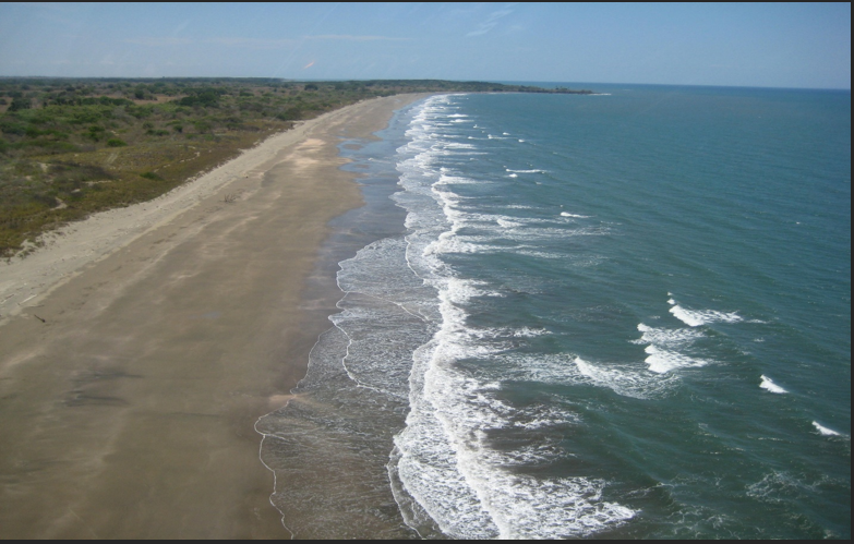 79.1-Hectare Beachfront Property for Sale in Pedasí, Panama