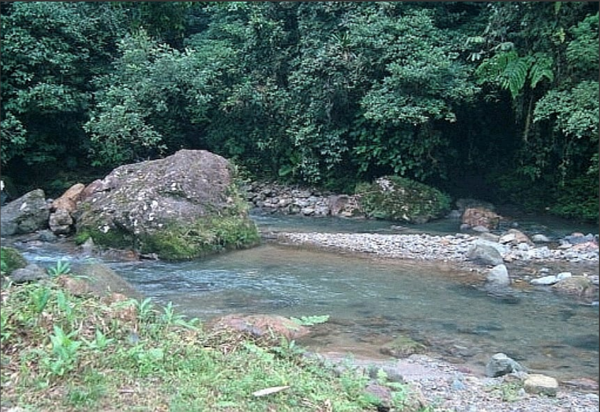 Land for Sale in Valle de Antón | 8.7 Ha with Natural Springs