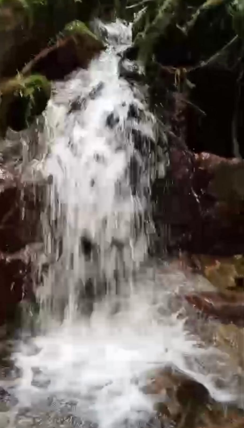 Land for Sale in Valle de Antón | 8.7 Ha with Natural Springs