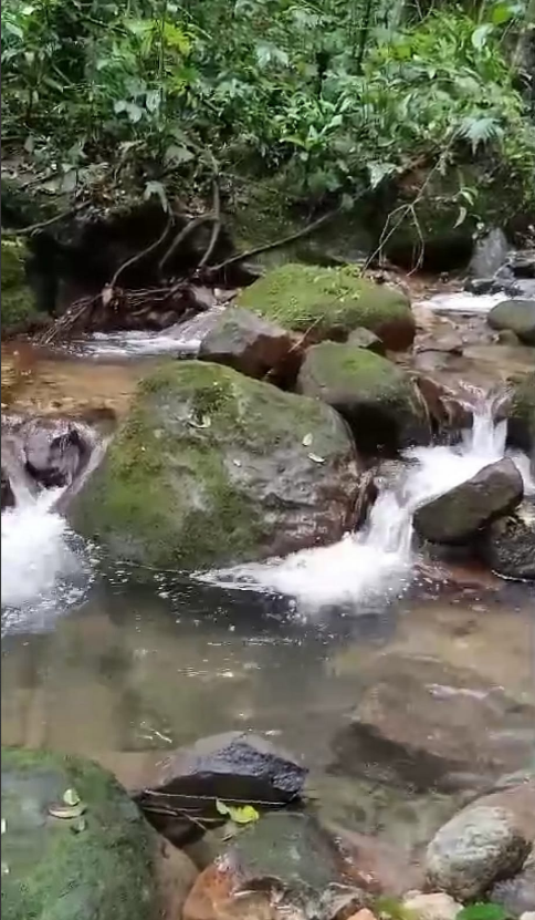 Land for Sale in Valle de Antón | 8.7 Ha with Natural Springs