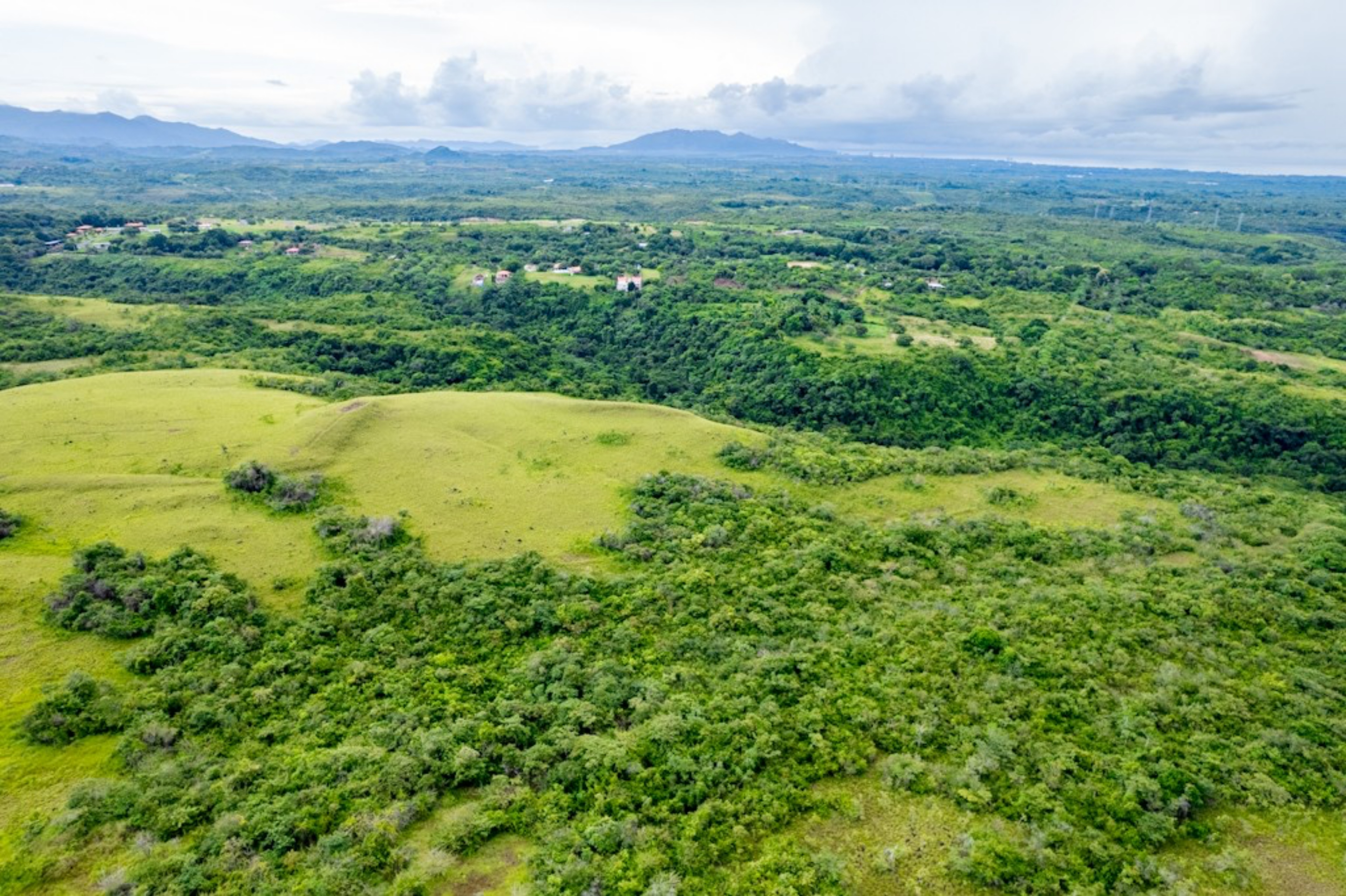 Rolling Hills with Ocean Views in San Carlos, Panama | 40 Hectares of Prime Land for Sale