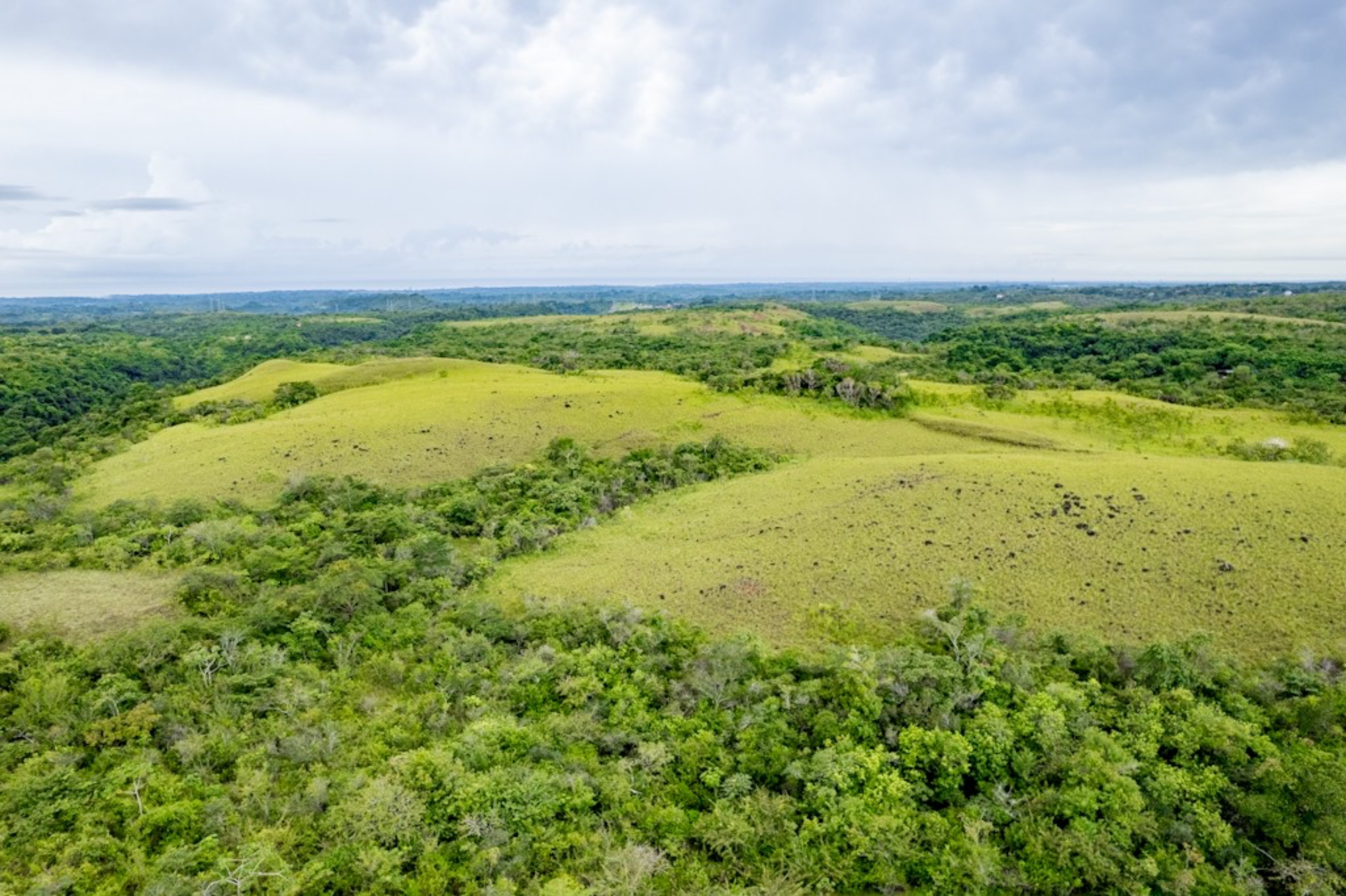 Rolling Hills with Ocean Views in San Carlos, Panama | 40 Hectares of Prime Land for Sale