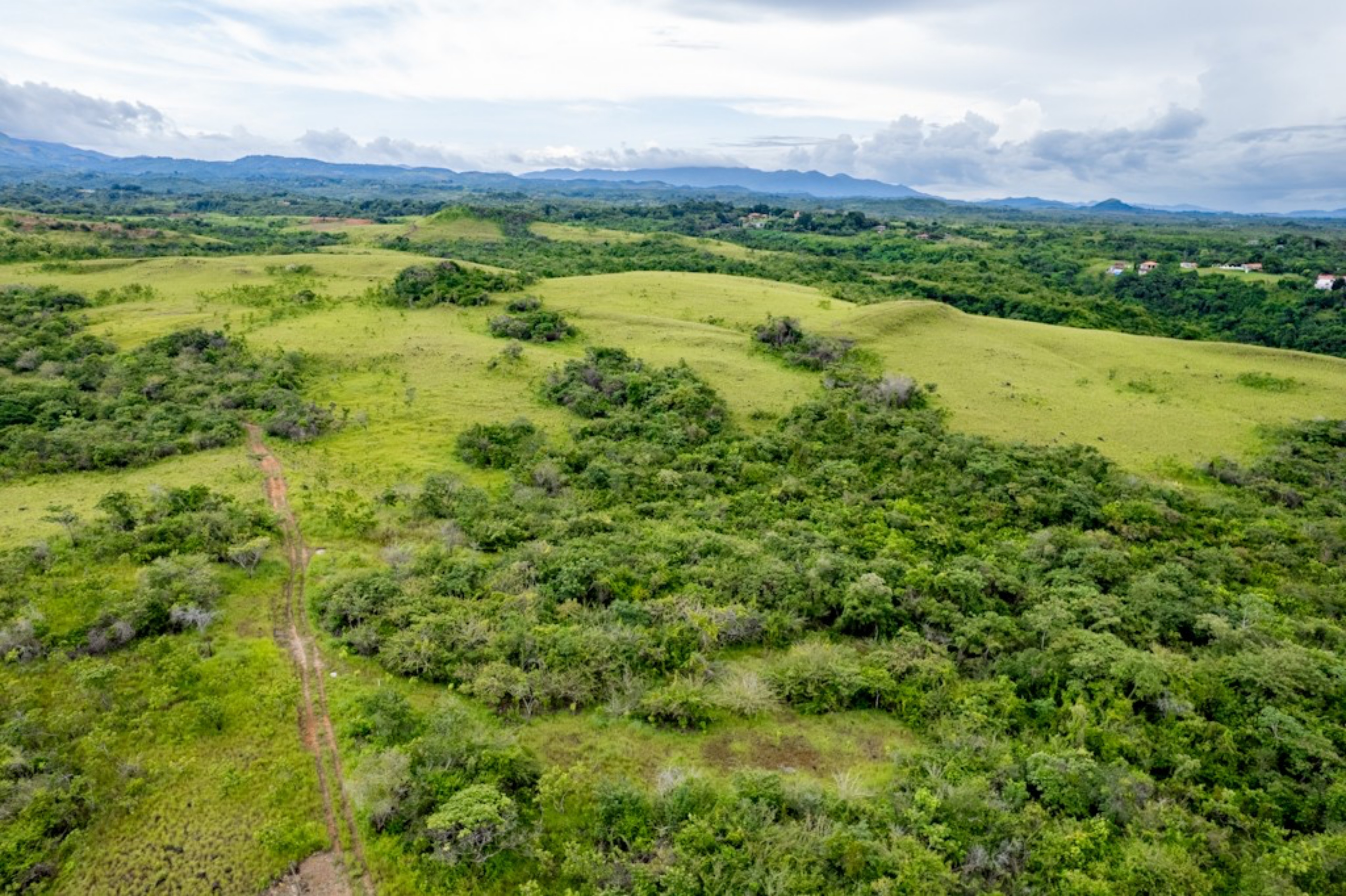 Rolling Hills with Ocean Views in San Carlos, Panama | 40 Hectares of Prime Land for Sale