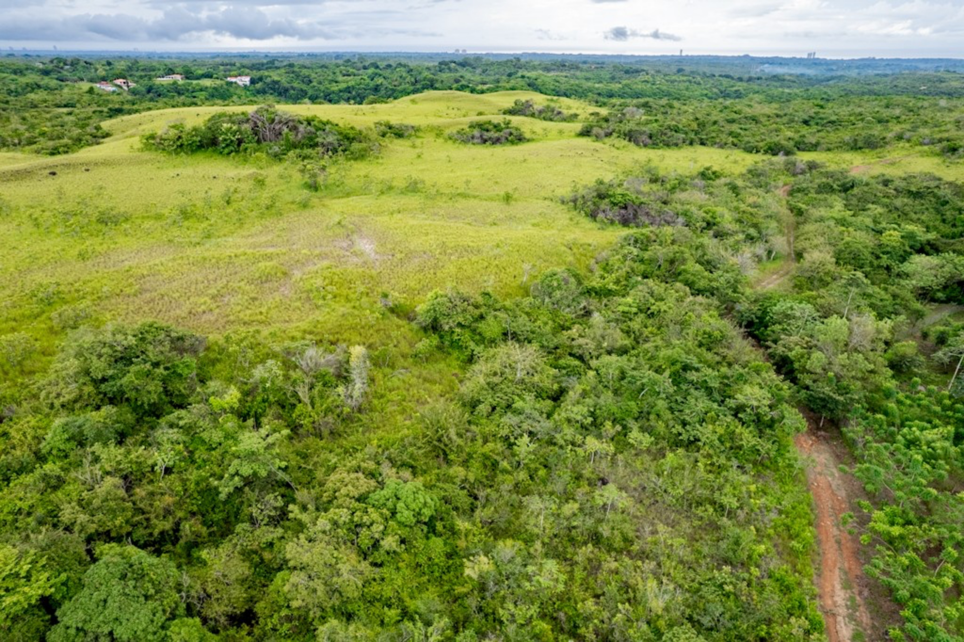 Rolling Hills with Ocean Views in San Carlos, Panama | 40 Hectares of Prime Land for Sale