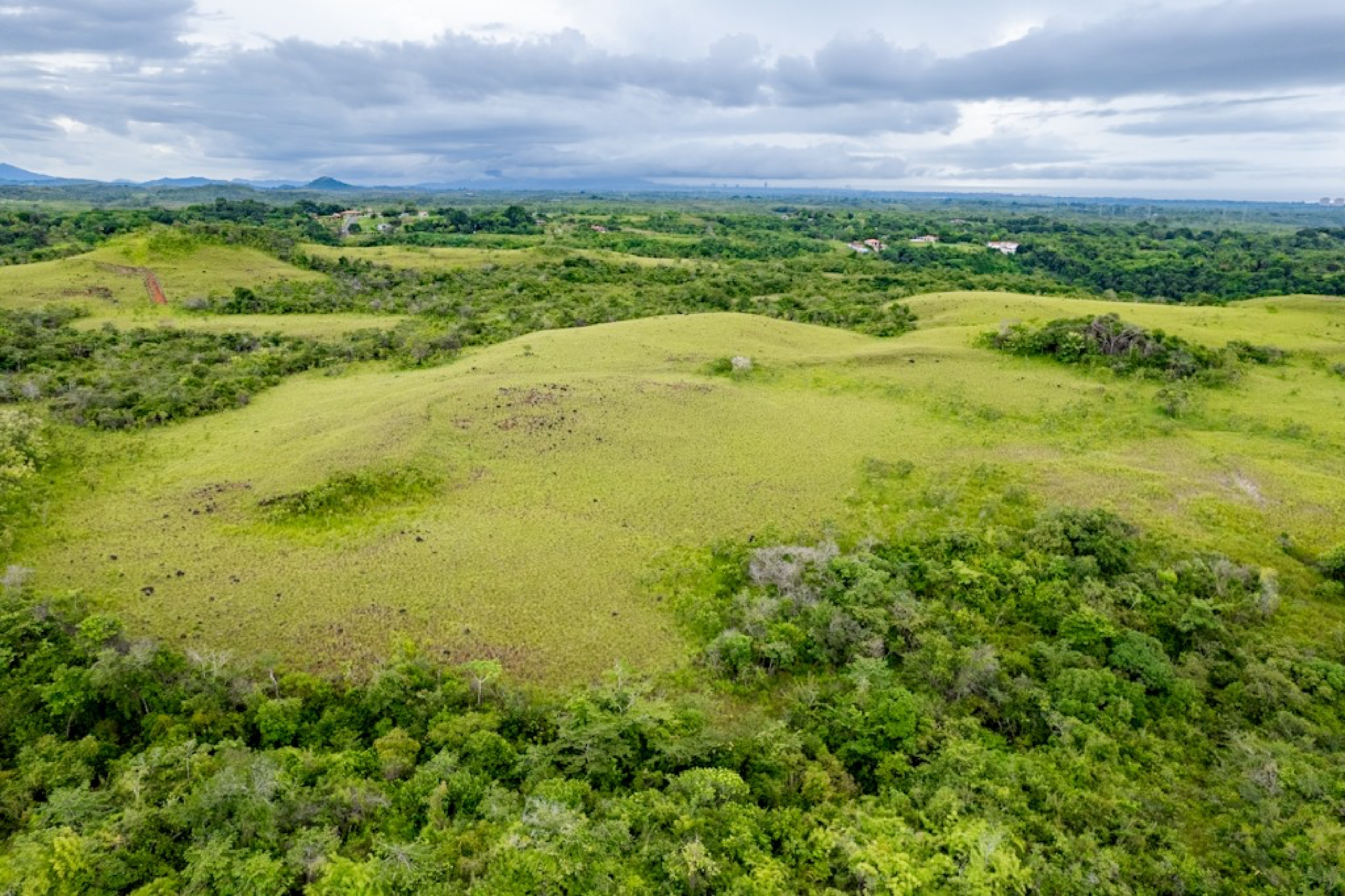 Rolling Hills with Ocean Views in San Carlos, Panama | 40 Hectares of Prime Land for Sale