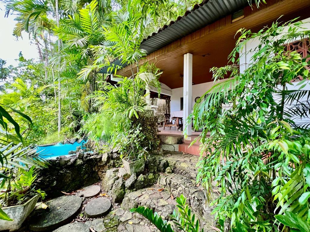 Stunning 5-Bedroom Ocean View Property with Gazebo, Pool, and Beautiful Gardens in Hato Pintado, Panama