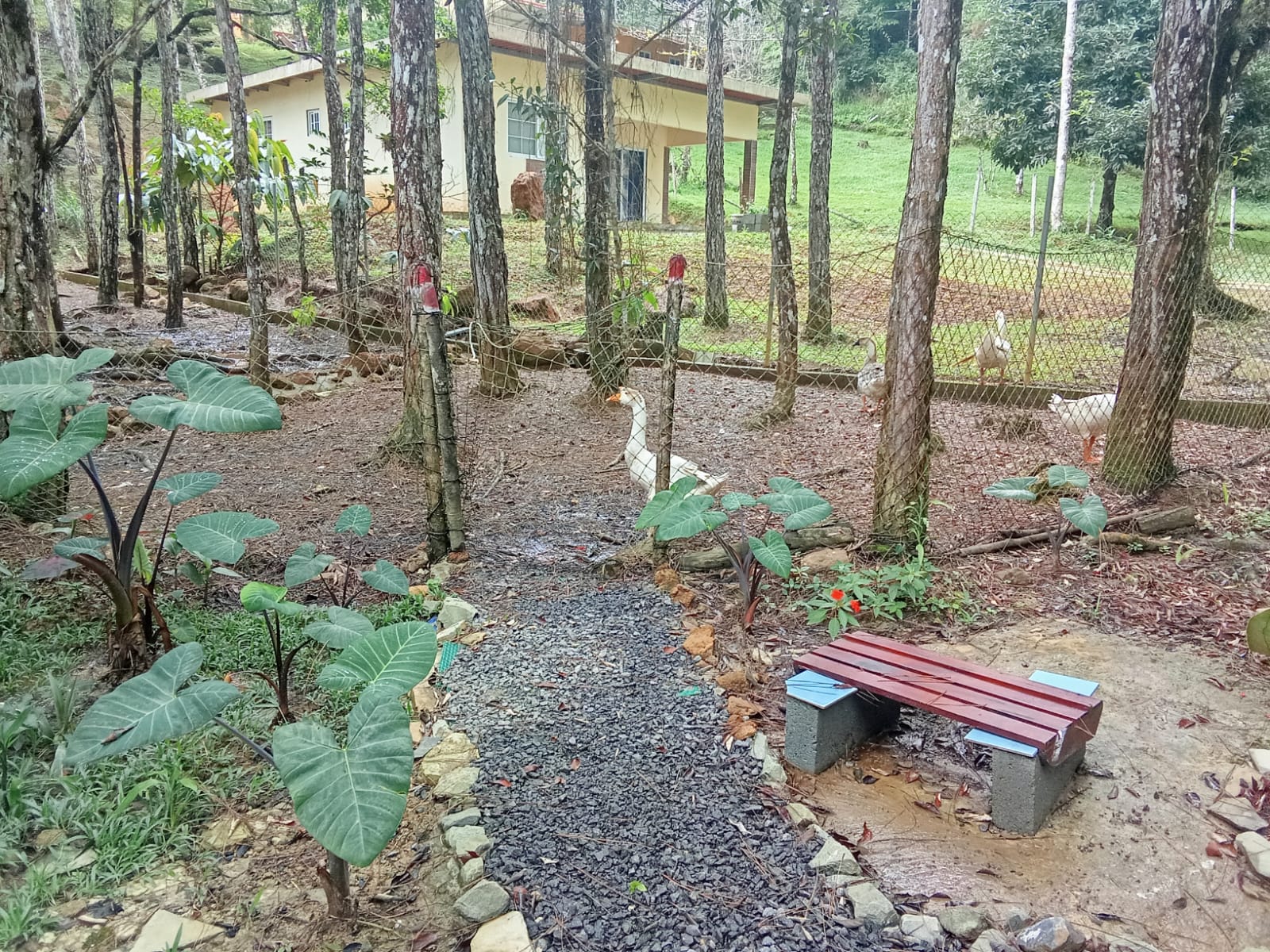 Altos de Cerro Azul 4-BR Home with Pool & Garden