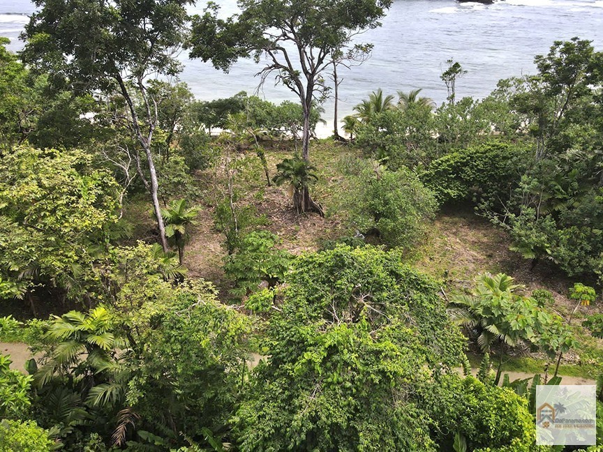 Beachfront Lots – Lot 418 | Land for Sale | Red Frog Beach Bocas del Toro | PLS-18535