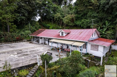 54 Hectare Coffee Farm for Sale in Volcan | Property ID: PLS-18597