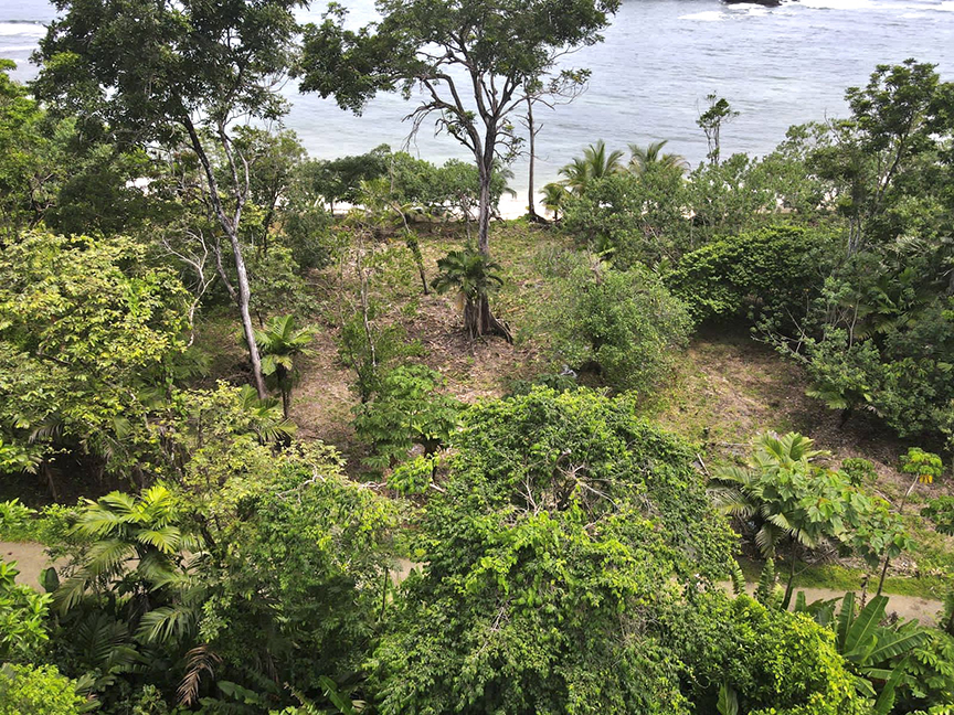 Beachfront Lots – Lot 418 | Land for Sale | Red Frog Beach Bocas del Toro | PLS-18535