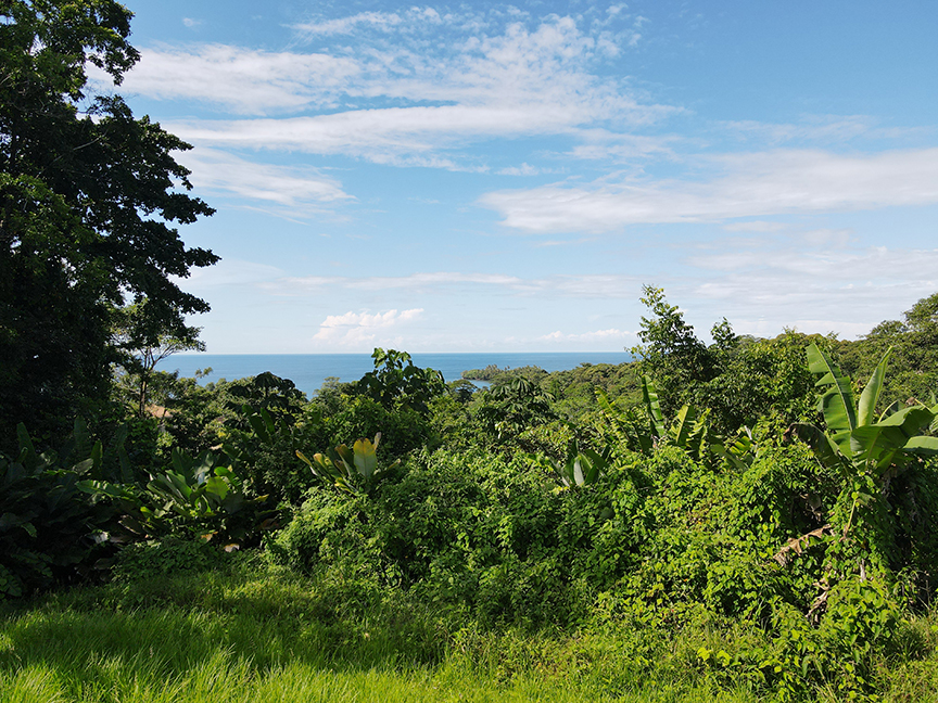 Hillside Ocean View Lots – Lot 25 | Land for Sale | Red Frog Beach Bocas del Toro | PLS-18531