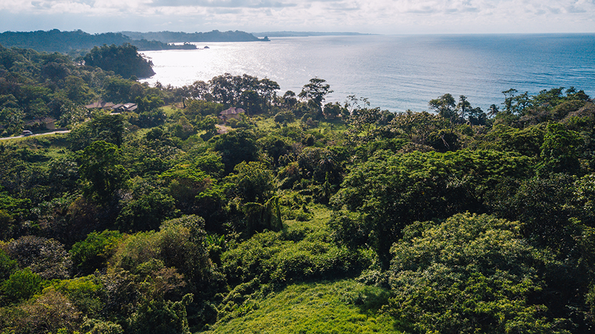 Hillside Ocean View Lots – Lot 306 | Land for Sale | Red Frog Beach Bocas del Toro | PLS-18536