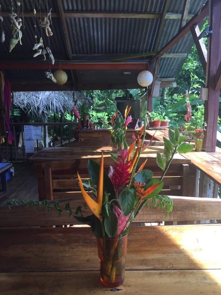 Unique Commercial Opportunity: Coco Hill Restaurant & Bar / Airbnb in Bocas Del Toro, Panama